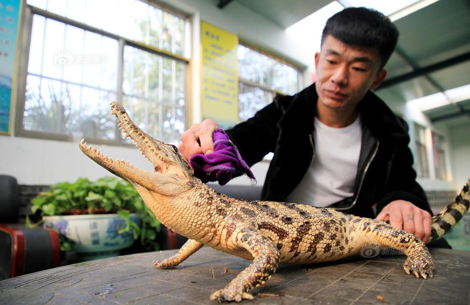 【網曝黑料獵奇稀缺資源】生態數超裴曉菲說