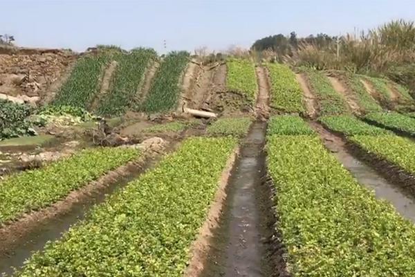 【今日爆料 51爆料】促進文商旅深度交融