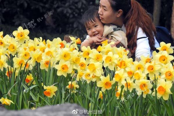 【緬北爆料吃瓜在線觀看】聯合印巴達到停火協議