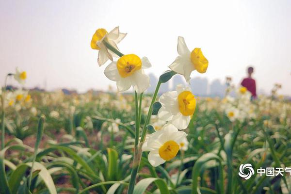 【91黑料在線】除了著手體會文物魅力外
